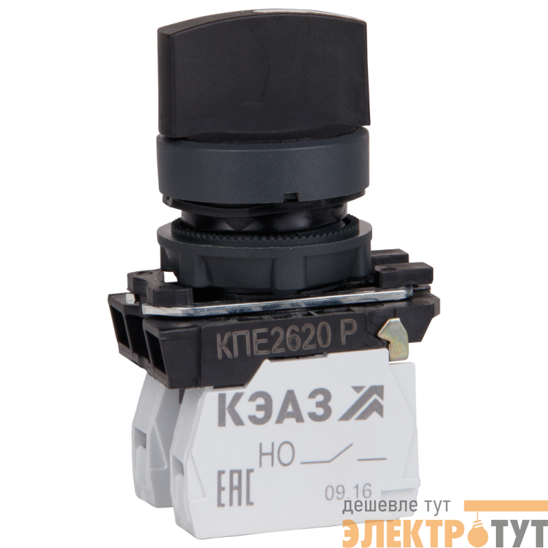 Переключатель КПЕ1611Р 1но+1нз ручка фикс 2поз IP65 черн. КЭАЗ 248268