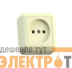 Розетка 1-м ОП Оптима РА10-375 10А IP20 без заземл. с монтаж. пластиной сл. кость Кунцево 8035