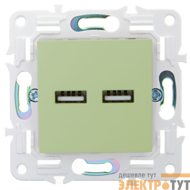Розетка USB A+A 3.1А SKANDY SK-R15G мятный IEK SK-U21-D31-K06