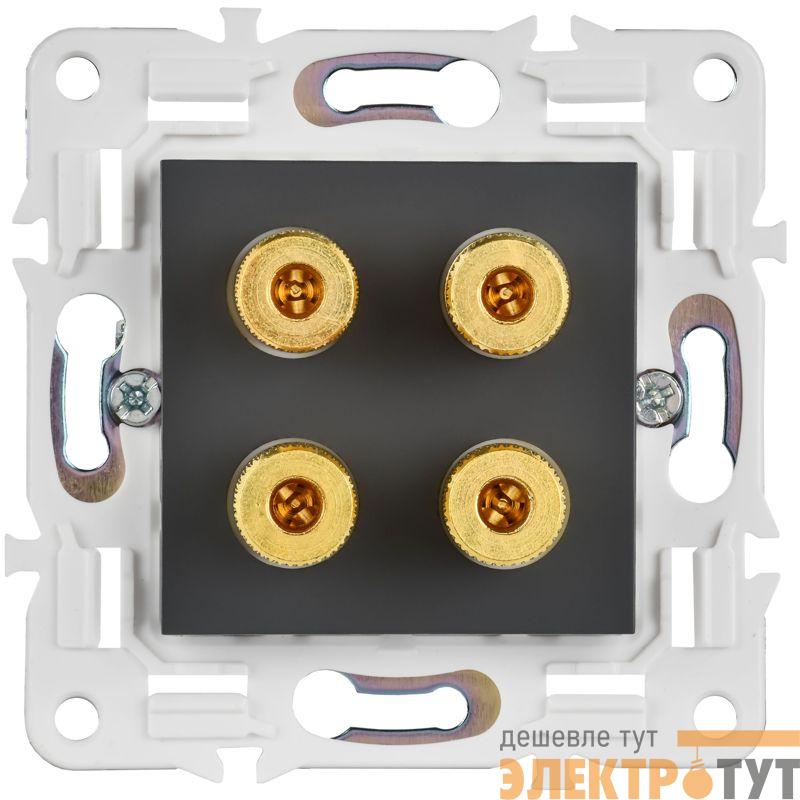 Аудиорозетка 4-м SKANDY SK-A01G графит IEK SK-S40-K53