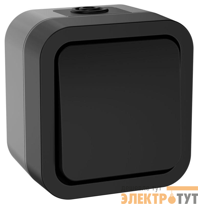 Выключатель 1-кл. 2п ОП TORS TS111 10А IP55 графит IEK TS-V16-0-10-55-K53