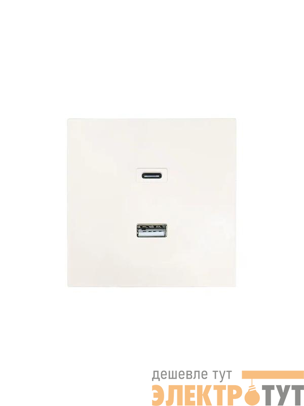 Розетка СП ZIMA IP20 Type-C + USB механизм сл. кость LEZARD 704-9088-192TC