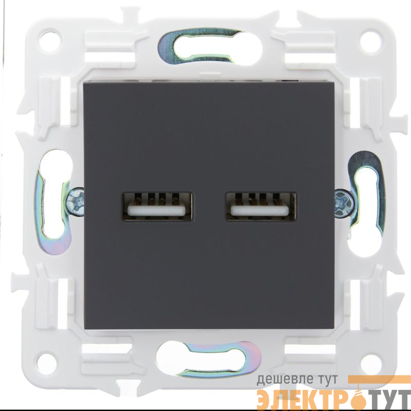 Розетка USB A+A 3.1А SKANDY SK-R15T титан IEK SK-U21-D31-K48