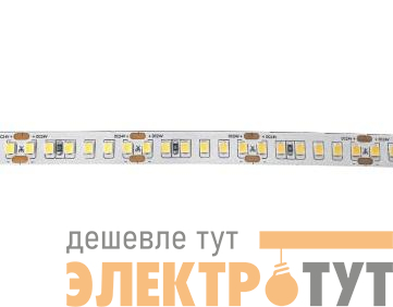 Лента светодиодная PLS PRO-5 2835/180-24В 3000К 15Вт/м IP20 (уп.5м) Pro+ JazzWay 5055827
