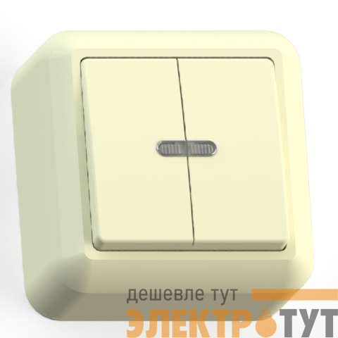 Выключатель 2-кл. ОП Оптима 10А IP20 А510-387 с индикацией с монтаж. пластиной сл. кость Кунцево 8034