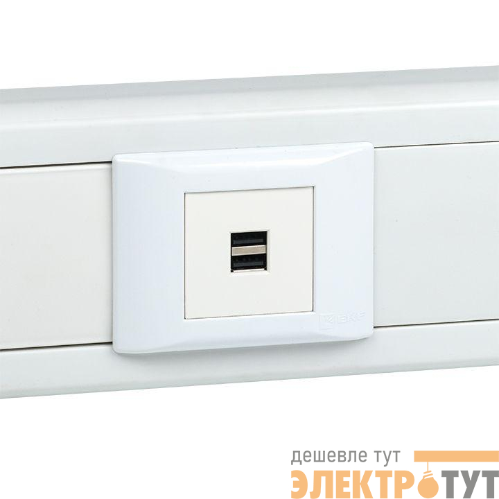 Розетка USB сила тока 2.1А (2 гнезда) без индикатора EKF E2MR2-20USB-10