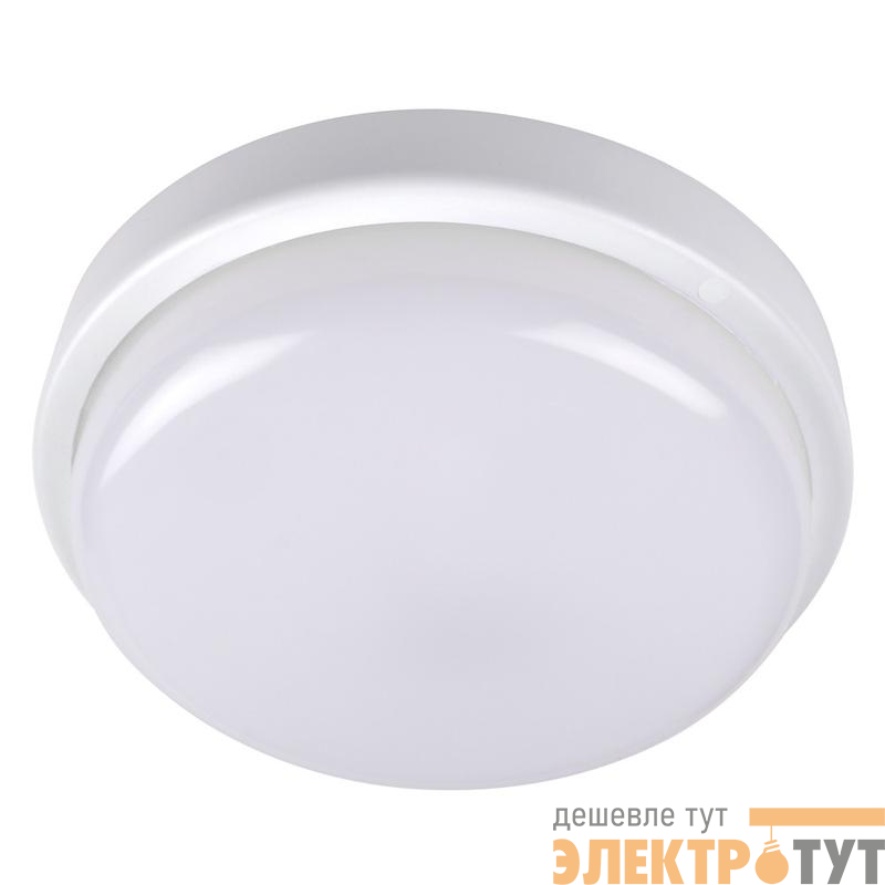 Светильник светодиодный "Банник" PBH-PC2-RA 8Вт 6500К IP65 ЖКХ ДБП кругл. пылевлагозащ. бел. JazzWay 5032262