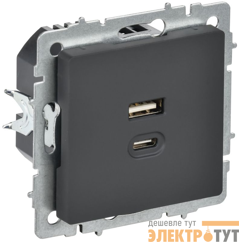 Розетка СП BRITE РЮ11-2-БрГ USB A+C 45Вт высокоскор. заряд. графит IEK BR-U22-045-K53