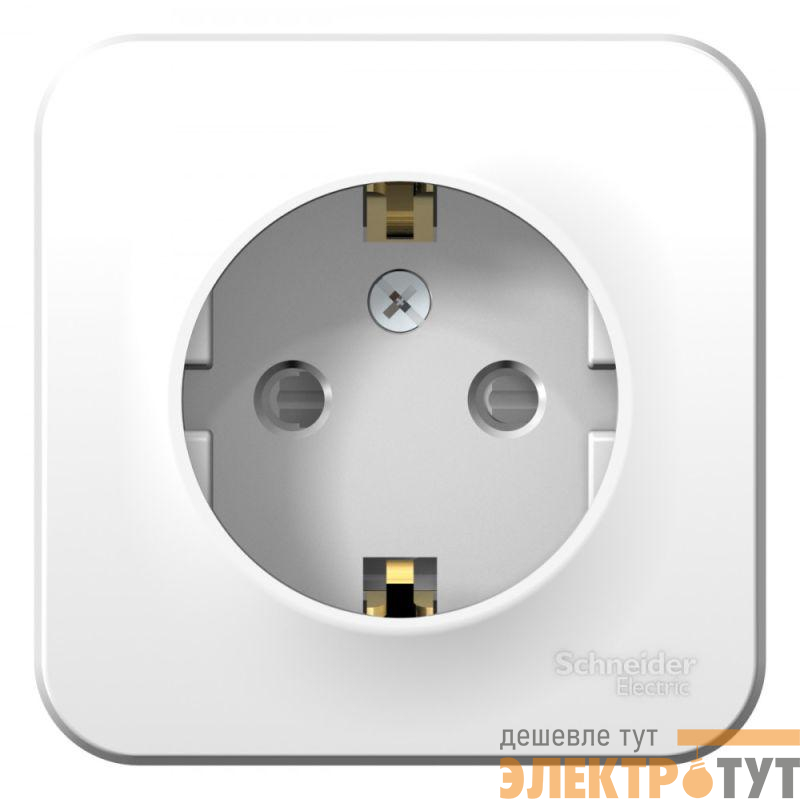 Розетка 1-м ОП Blanca 16А IP20 250В с заземл. защ. шторки с монтаж. пластиной бел. SE BLNRA011121