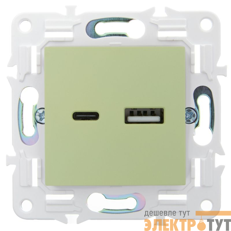 Розетка USB A+C 3.1А SKANDY SK-R14G мятный IEK SK-U22-D31-K06