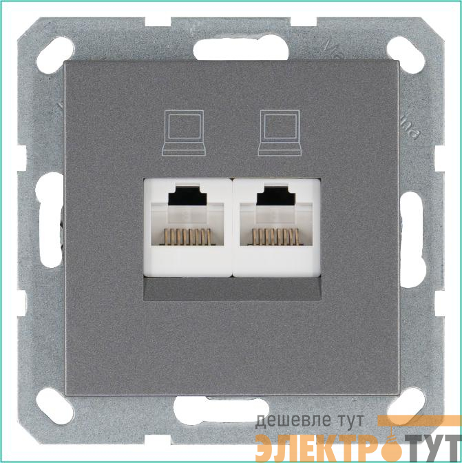 Розетка компьютерная 2-м RJ45 IP20 кат. 6 механизм алюм. Jasmart G6108S