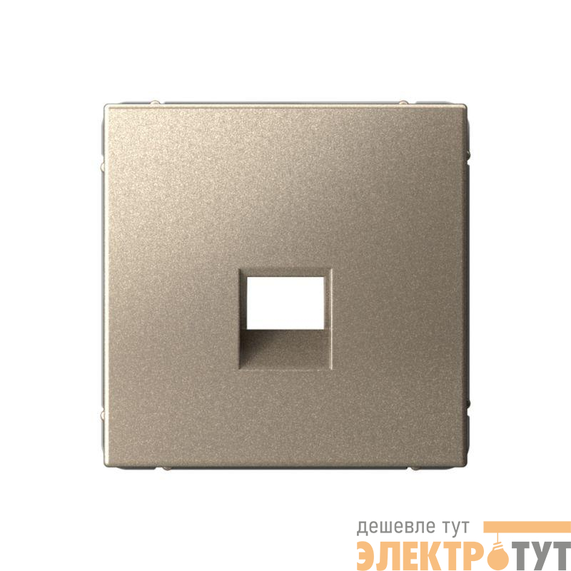 Накладка информационная ArtGallery типа Keystone шампань SE GAL000584