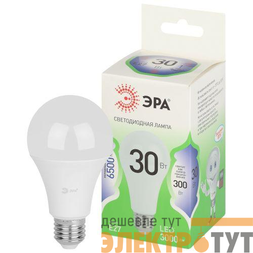 Лампа светодиодная GREEN LINE A65-30W-865-E27 GL 30Вт груша 6500К свет холод. E27 Эра Б0067145