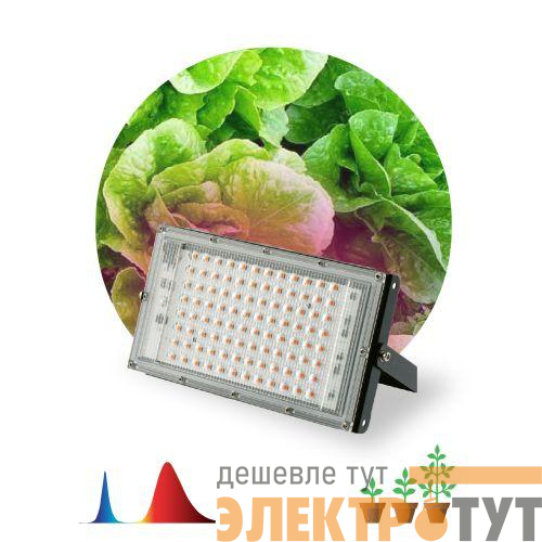 Прожектор светодиодный FITO-80W-RB-LED-Y 80Вт для растений красн./син. спектр IP65 Эра Б0053082