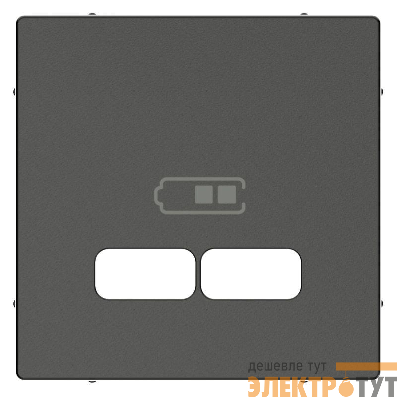 Накладка центральная Merten для механизма USB 2.1А SM антрацит SchE MTN4367-0414