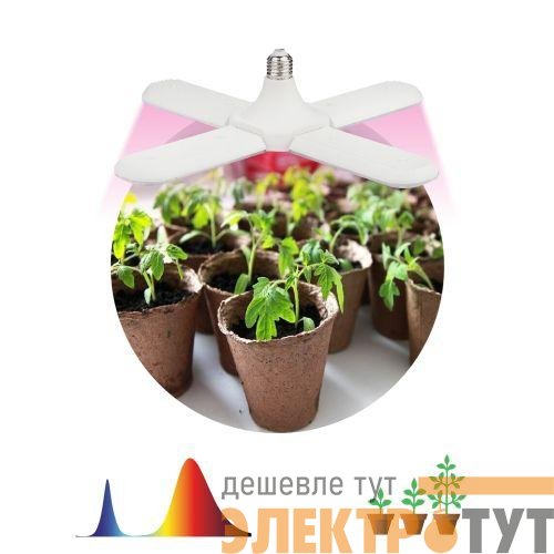 Лампа светодиодная FITO-36W-RB-E27-FOLD 36Вт Е27 4-лепестковая для растений красн./син. спектр Эра Б0053289