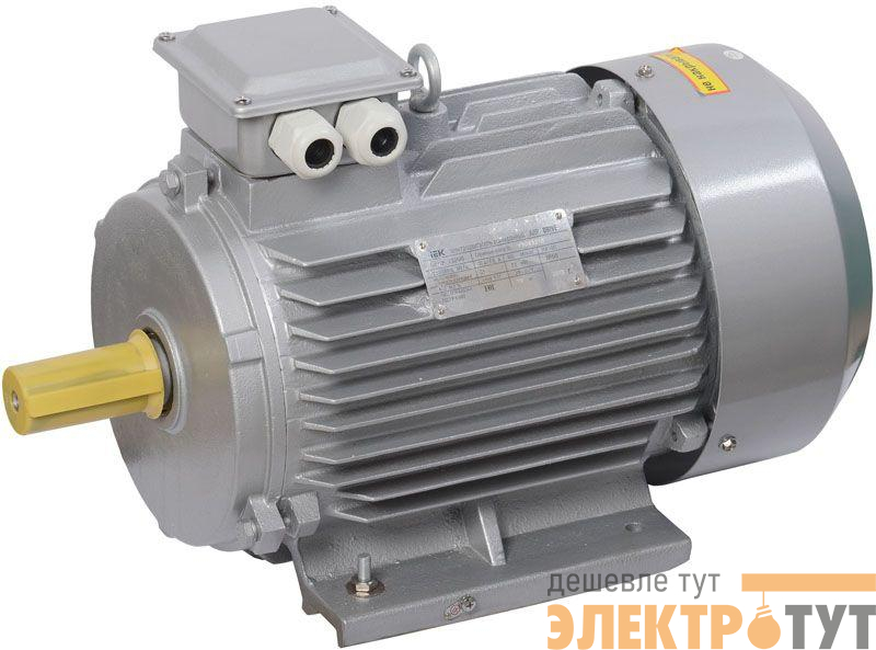Электродвигатель АИР DRIVE 3ф 132M2 380В 11кВт 3000об/мин 1081 IEK DRV132-M2-011-0-3010