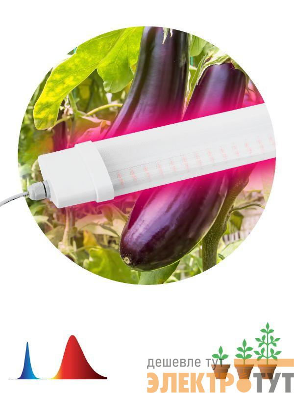 Светильник для растений FITO-36W-RB-N 36Вт 220-240В IP65 проф. спектр для периода вегетации прозр. рассеив. ЭРА Б0045697