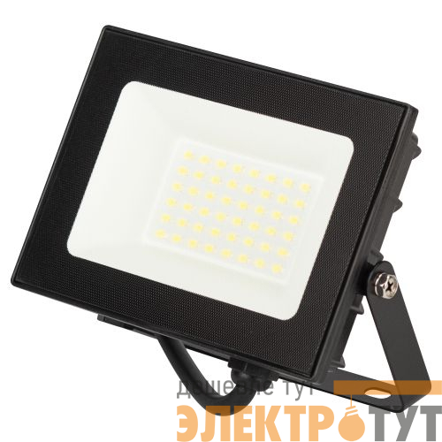 Прожектор светодиодный LPR-062-0-65K-030 30Вт IP65 6500К 3000лм призма Проектный Эра Б0064687