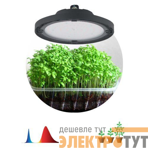 Прожектор светодиодный FITO-50W-RB-LED-UFO 50Вт для растений красн./син. спектр IP65 Эра Б0053280