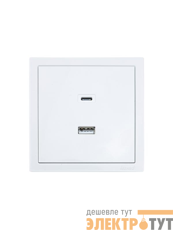 Розетка СП ZIMA IP20 Type-C + USB механизм бел. LEZARD 704-0288-192TC