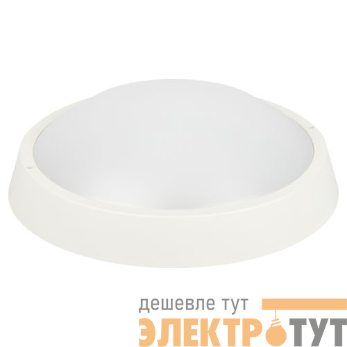 Светильник светодиодный SPB-203-0-65К-024 24Вт 6500К IP65 2040лм ЖКХ D320мм круг бел. Проектный Эра Б0062684