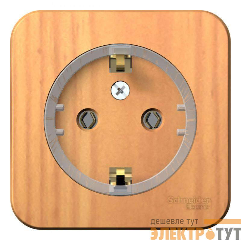 Розетка 1-м ОП Blanca 16А IP20 250В с заземл. без защ. шторок с изолир. пластиной (компакт) ясень SE BLNRA110115