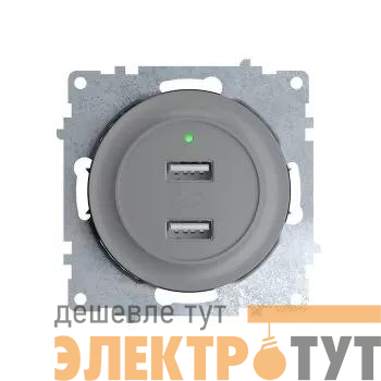 Розетка USB 2-м СП Florence 16А IP20 с подсветкой механизм сер. (1E10351302) OneKeyElectro 2260091