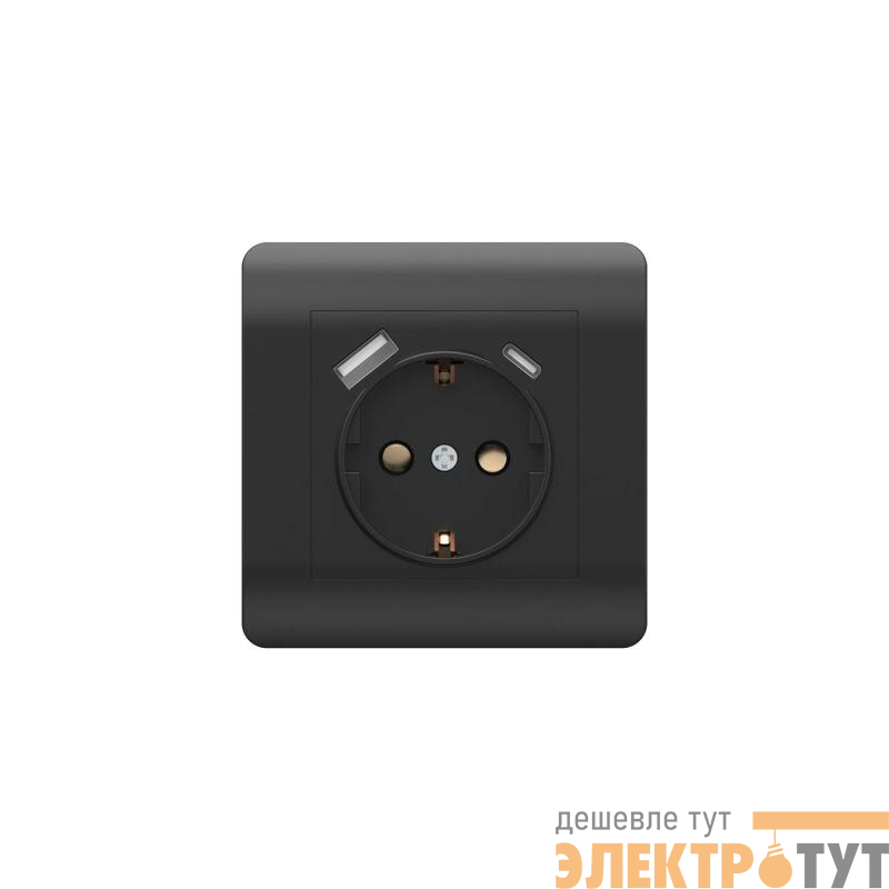Розетка NEW3-E 16А с заземл. защ. шторки с 2-мя заряд. устройствами USB A+C 5В/2.1А черн. CHINT 431502