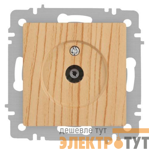 Розетка телевизионная одиночная TV СП Accent 6-301-11 IP20 сосна Intro Б0063622