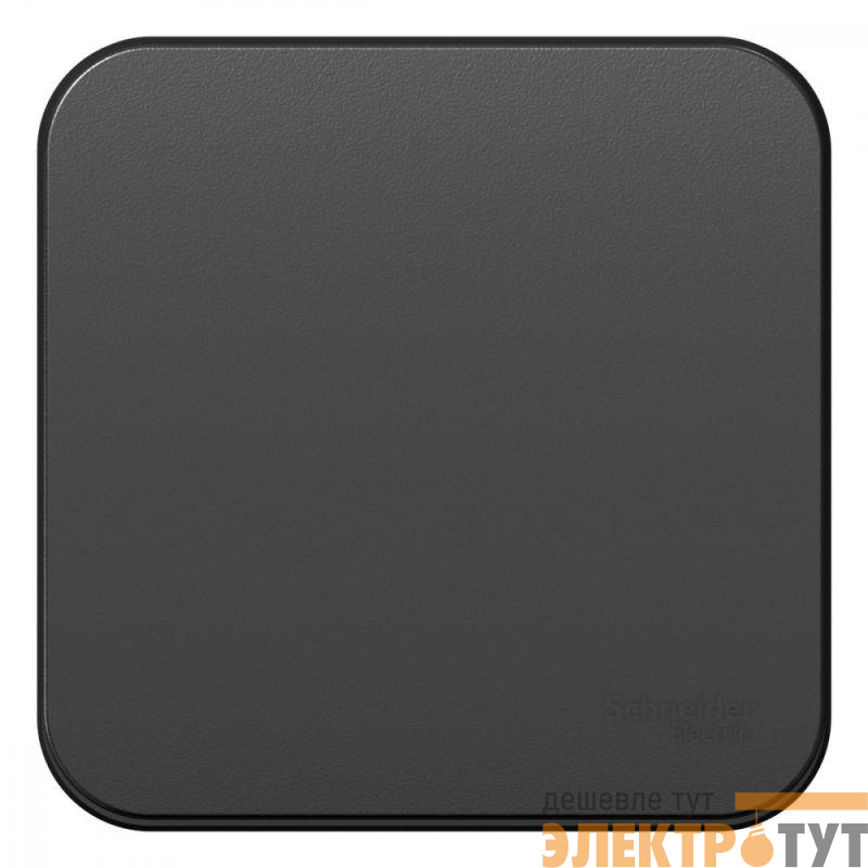 Выключатель 1-кл. ОП Blanca 10А IP20 (сх. 1) с самовозвратом с изолир. пластиной антрацит SE BLNCA101016