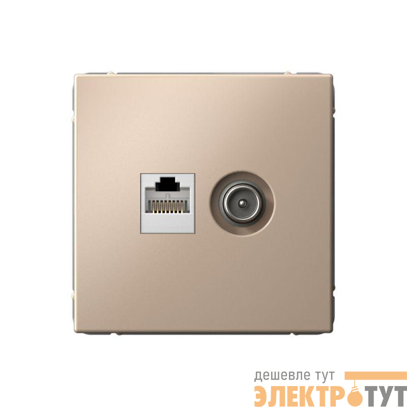 Розетка компьютерная + телевизионная 2-м ArtGallery RJ45 + TV кат.5E песочн. SE GAL001289