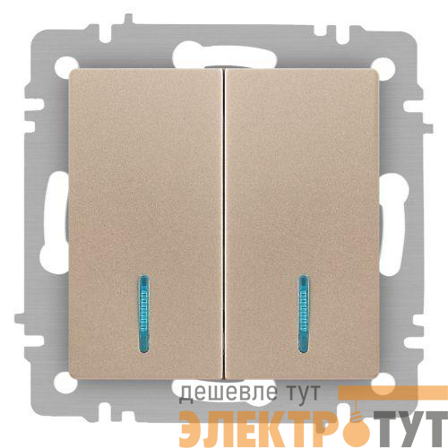 Выключатель 2-кл. СП Accent 6-105-04 10А IP20 250В с подсветкой AL/CU шампань Intro Б0063513
