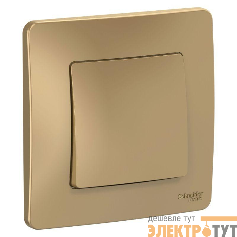 Переключатель проходной 1-кл. СП Blanca 10А IP20 (сх. 6) 250В титан SE BLNVS010604