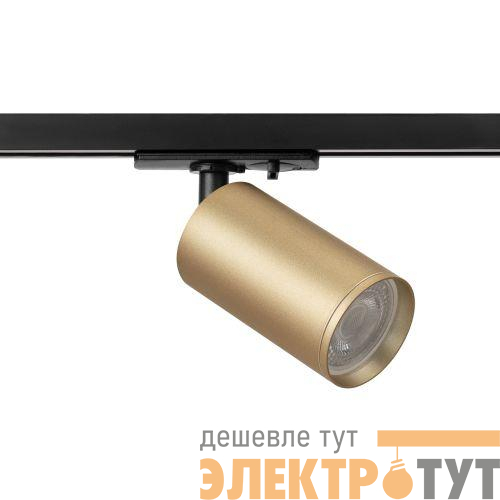 Светильник трековый 1ф TR39-GU10 MG под лампу MR16 золото Эра Б0053312