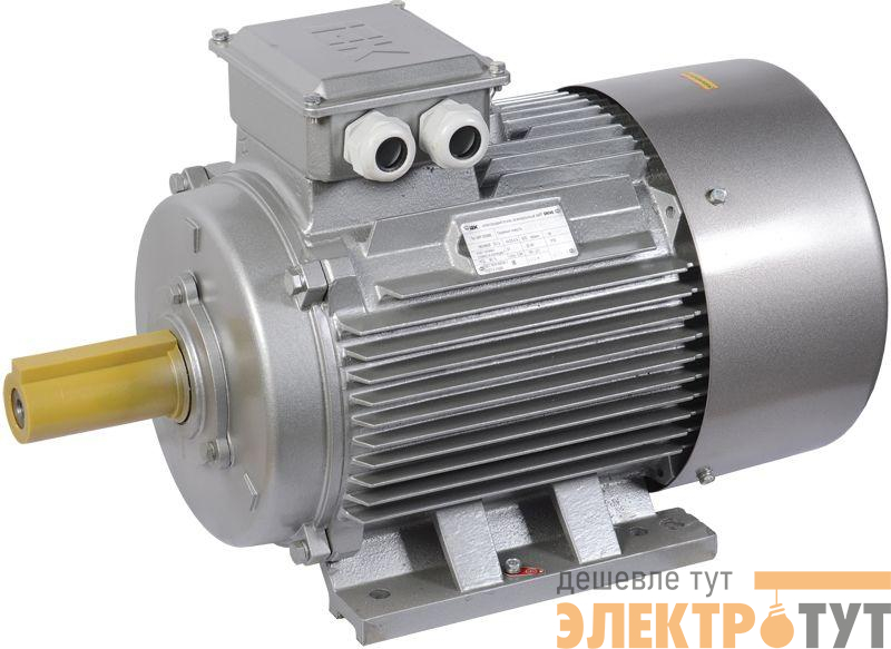 Электродвигатель АИР DRIVE 3ф 315S6 660В 110кВт 1000об/мин 1081 IEK DRV315-S6-110-0-1010