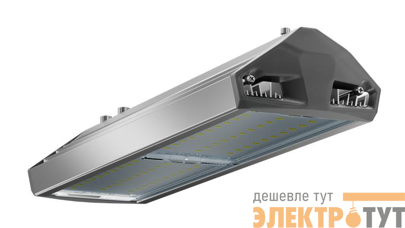 Светильник светодиодный ДКУ 100 750 Д ЕСАУЛ IP66/67 уличный Технологии света УТ000020651