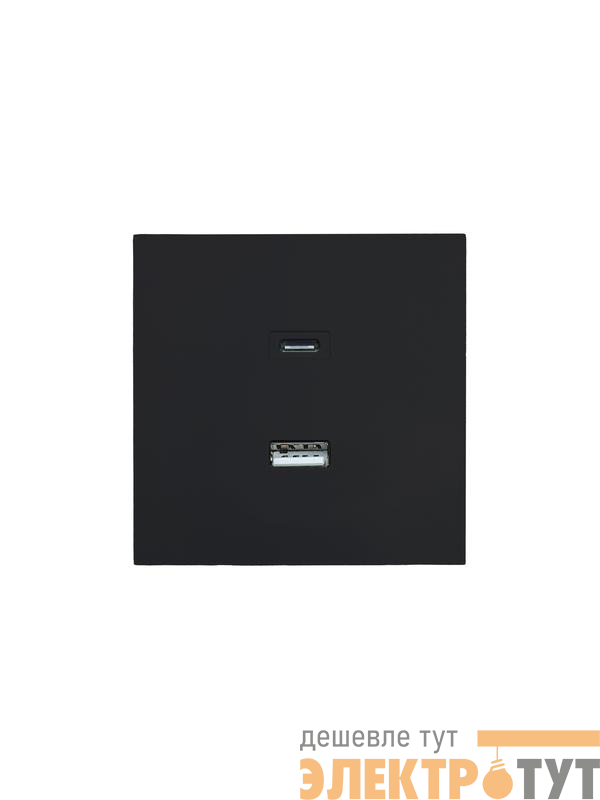 Розетка СП ZIMA IP20 Type-C + USB механизм черн. бархат LEZARD 704-4288-192TC