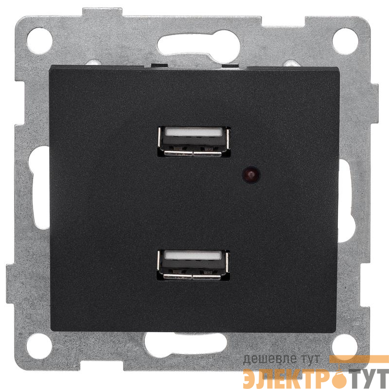 Розетка USB 2-м СП Bravo механизм графит GUSI С10USB2-010