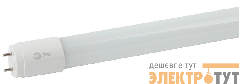 Лампа LED T8-10W-865-G13-600мм R (диод труб. стекл 10Вт хол непов. G13 пенка) (30/1080) ЭРА Б0049593