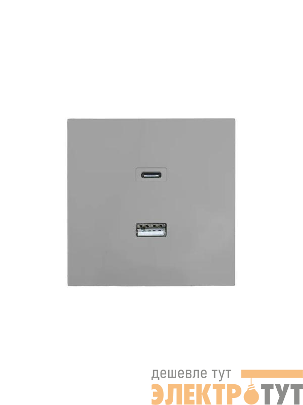 Розетка СП ZIMA IP20 Type-C + USB механизм сер. матов. LEZARD 704-7488-192TC