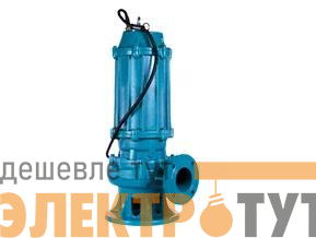 Насос ГНОМ-М 100-25-100/11-380 ESQ 02.31.216206