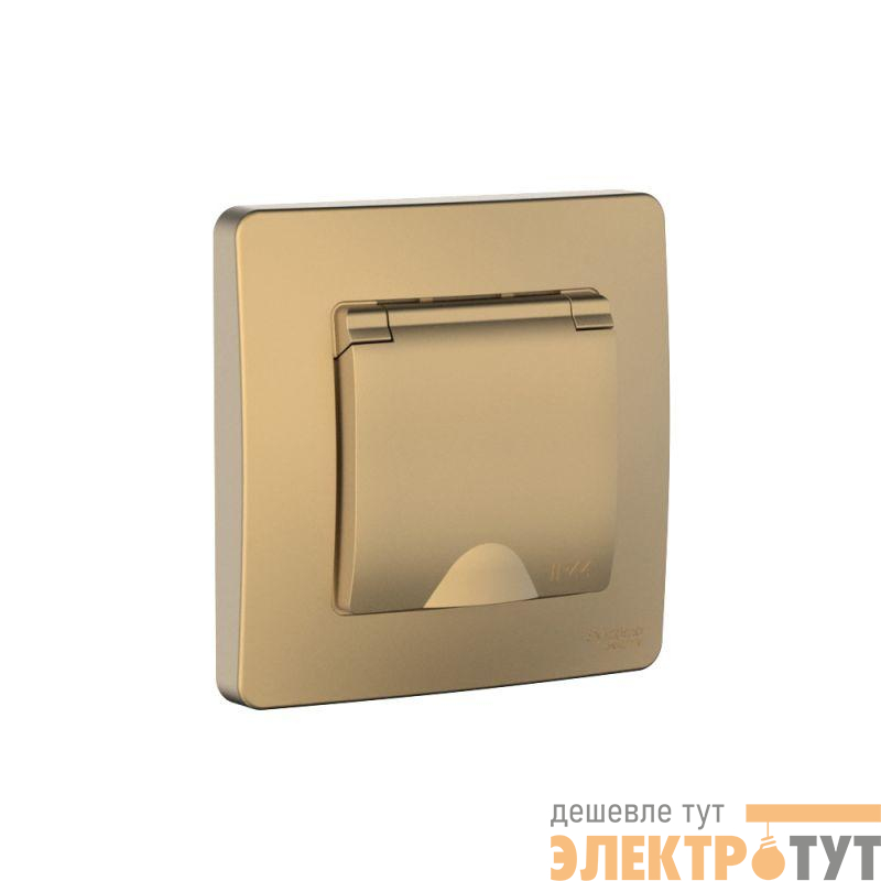 Розетка 1-м СП Blanca 16А IP44 250В с заземл. защ. шторки с крышкой титан SE BLNRS441114