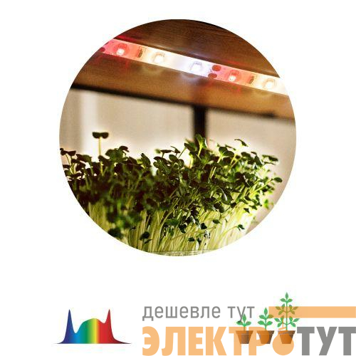 Лента светодиодная FITO-Strip Light-Rа90-3m 3м для растений полноспектральная IP65 Эра Б0059881