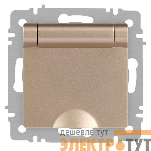 Розетка 1-м СП Accent 6-203-04 16А IP20 250В 2P+E Schuko с крышкой шампань Intro Б0063738