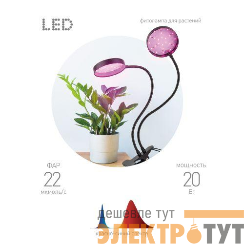 Светильник светодиодный FITO-20W-АLED-R 20Вт для растений красн./син. спектр на прищепке черн. Эра Б0053290