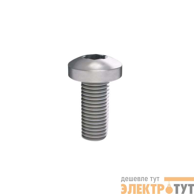Винт M5х25 РАМ Пауэр (RAM power) для шинного держателя (уп.20шт) DKC R5SCM5X25