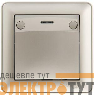 Выключатель карточный СП W59 16А IP20 220В с индикацией в сборе шампань SchE VS616-051-48