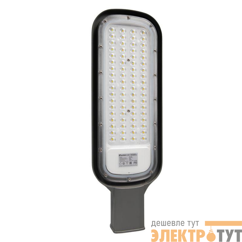 Светильник уличный 100 Вт THL-1010 Ultraflash 14965